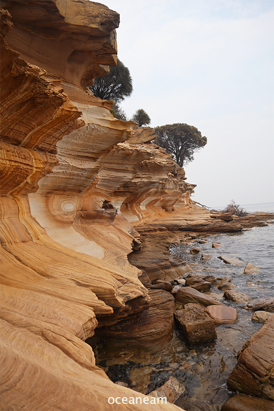 Comment Visiter La Tasmanie 14 Idées Pour Découvrir Lîle Australienne Océaneam Travel 6638