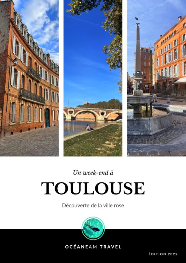 Un week-end à Toulouse